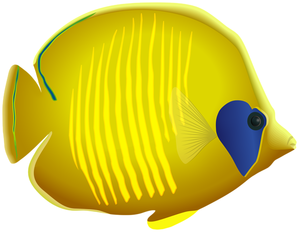 This png image - Yellow Fish PNG Clipart, is available for free download