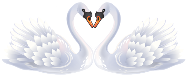 This png image - Valentine Swans PNG Clipart, is available for free download