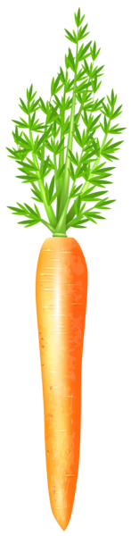 This png image - Carrot Free PNG Clip Art Image, is available for free download