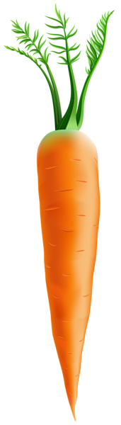 This png image - Carrot PNG Clip Art Image, is available for free download