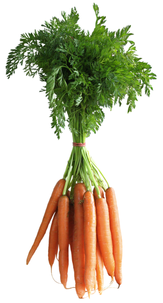 This png image - Carrots PNG Clipart Picture, is available for free download