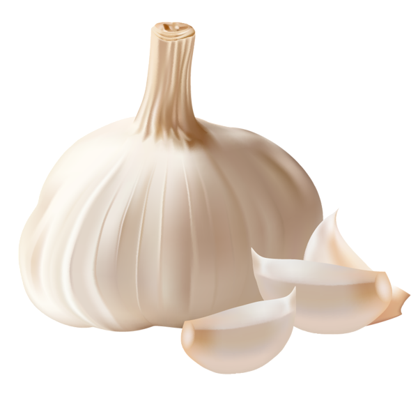 This png image - Garlic Clipart PNG Picture, is available for free download