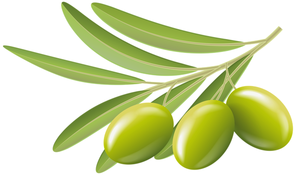 green olive clipart - photo #20