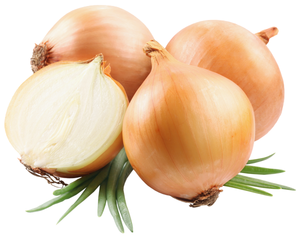 This png image - Onions PNG Picutre, is available for free download