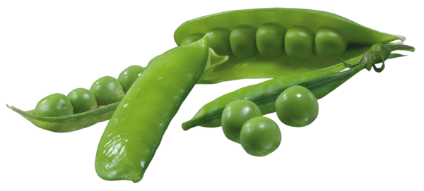 This png image - Pea Pods PNG Picture, is available for free download