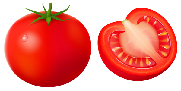 This png image - Tomato PNG Vector Clipart Image, is available for free download