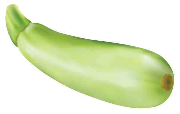This png image - Zucchini PNG Vector Clipart Image, is available for free download