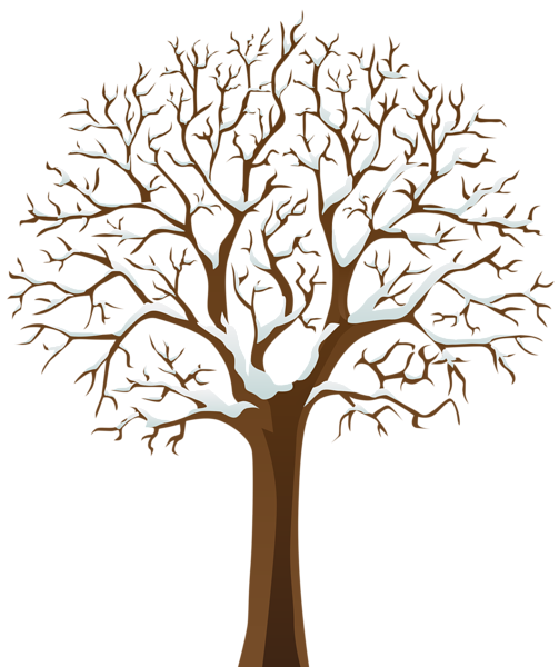 This png image - Snowy Winter Tree Transparent PNG Image, is available for free download