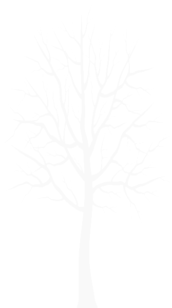 This png image - White Winter Tree Transparent PNG Clip Art, is available for free download