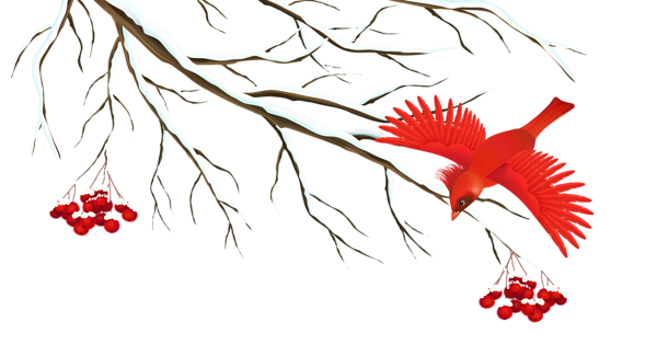 This png image - Winter Snowy Branch with Bird PNG Clipart Image, is available for free download