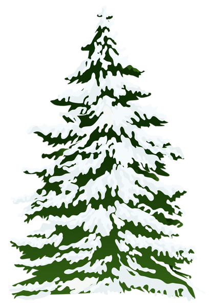 This png image - Winter Snowy Pine Tree PNG Clipart Image, is available for free download