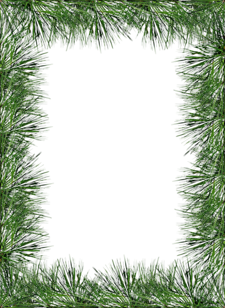 This png image - Transparent PNG Pine Photo Frame, is available for free download