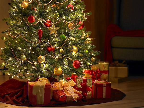 This jpeg image - Under the Christmas Tree, is available for free download