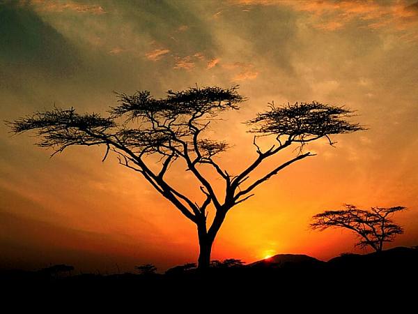 This jpeg image - African-Sunset, is available for free download