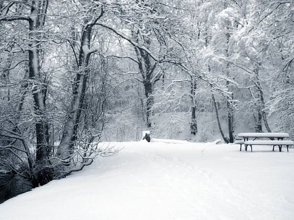 This jpeg image - cpld-winter, is available for free download