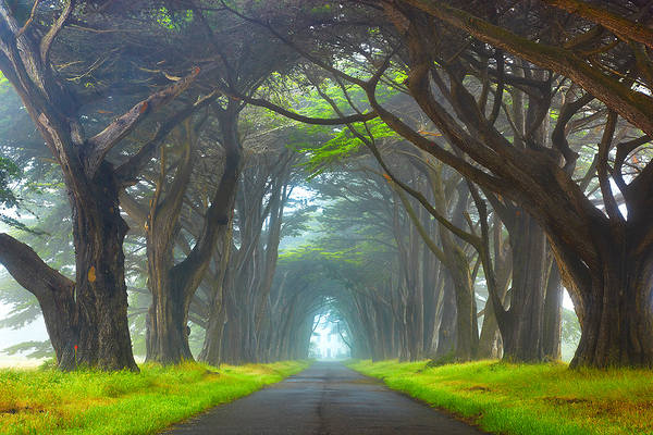 This jpeg image - Myst Point Reyes National Seashore California Wallpaper, is available for free download