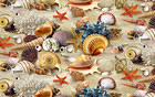 Shell Background