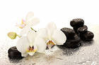 Spa Orchids Background