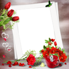 Transparent Nice PNG Photo Frame with Red Flowers