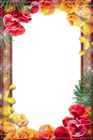 Transparent PNG Frame with Roses