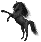 Black Horse PNG Picture