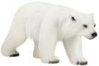 Large Painted PNG Polar Bear Clipart
