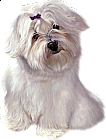 White Cute Puppy with Ribbon Clipart
