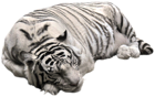 White Tiger PNG Pictute