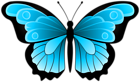 Blue Butterfly Transparent Clipart
