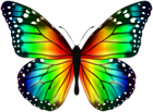 Colorful Butterfly PNG Clipart