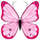 Pink Transparent Butterfly Clipart