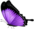 Purple Butterfly Transparent PNG Clip Art Image