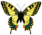 Yellow Butterfly PNG Image