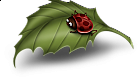 Cartoon Ladybug on Leaf Clipart