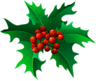Christmas Holly Mistletoe Transparent PNG Clip Art