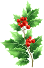 Christmas Mistletoe Transparent PNG Clip Art
