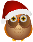 Christmas Owl PNG Clipart