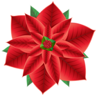 Christmas Poinsettia Transparent PNG Clip Art Image