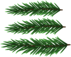 Fresh Pine Branches Deco Clipart