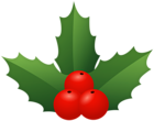 Holly Mistletoe Christmas PNG Clip Art