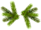 Pine Branches Transparent PNG Clip-Art Image