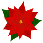 Poinsettia PNG Clipart Image
