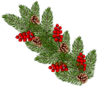 Transparent Christmas Pine Branch PNG Clip Art