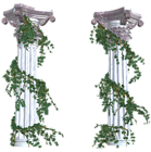 Beautiful Columns with Vines PNG Decorative Elements