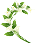 Calla Lily Decoration PNG Clip Art Image