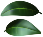 Dark Green Leaves PNG Transparent Clipart