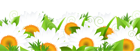 Decoration with Daisies PNG Picture