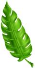 Exotic Green Leaf Clip Art PNG Image