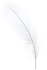 Feather White PNG Clip Art