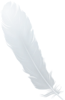 Feather White PNG Clipart
